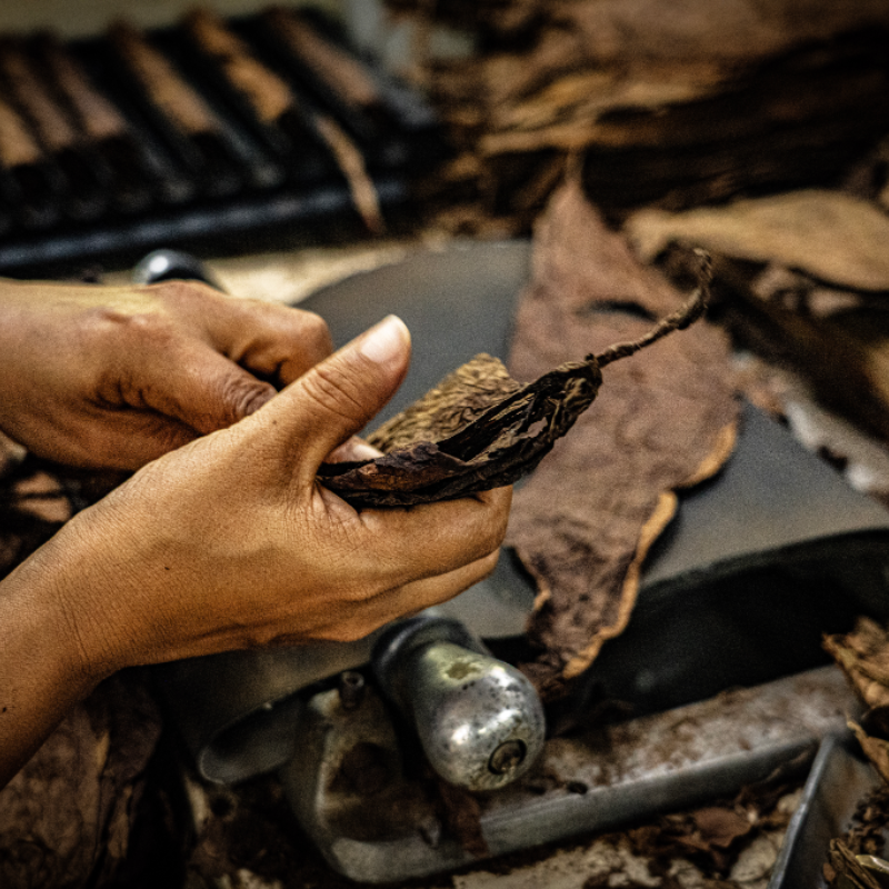 Artisanal Tools & Tobacco Leaves Close-Up - Aurea Montana Reserva's Handcrafting Essentials 奥瑞山谷雪茄手工制作特写：多米尼加传统工具与精选烟叶
