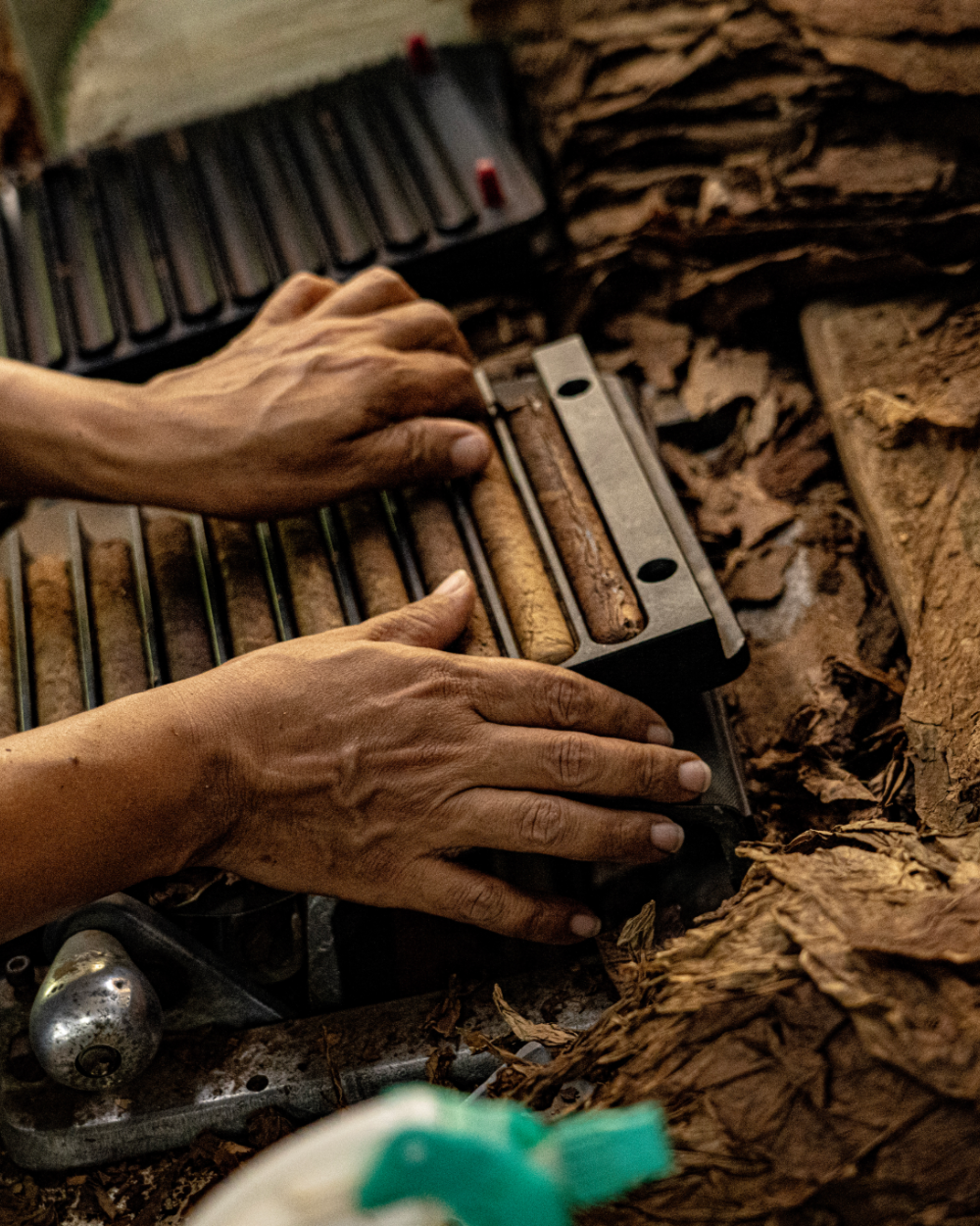 Artisanal Cigar Rolling - Handcrafted Process of Aurea Montana Reserva in Dominican Republic 奥瑞山谷雪茄多米尼加手工卷制：匠人匠心的传统工艺现场