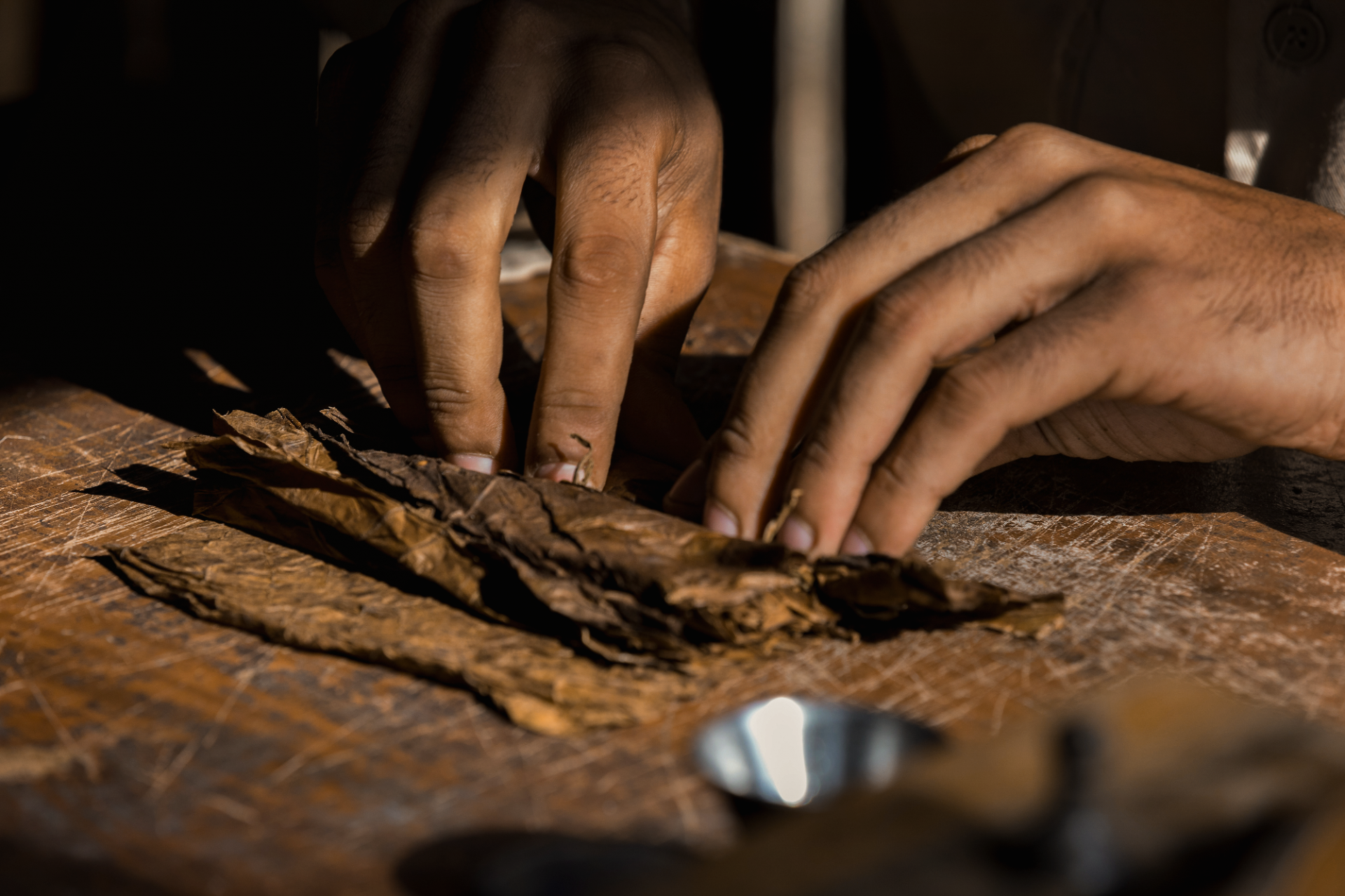 Hand-Rolling Process of Aurea Montana Reserva Cigars 奥瑞山谷雪茄多米尼加手工卷制现场