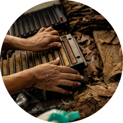 Aurea Montana Reserva Cigar Box Packaging - Premium Handcrafted Cigars in Elegant Gift Box 奥瑞山谷雪茄成品装盒：手工精品装入精致礼盒